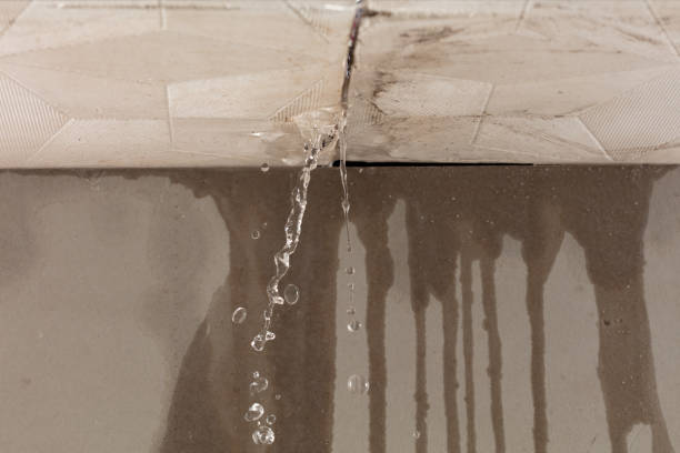 Professional Sewage Cleanup technician working in Sterling, CO